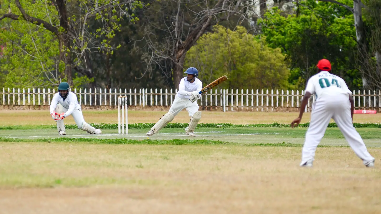 Men Playing Cricket