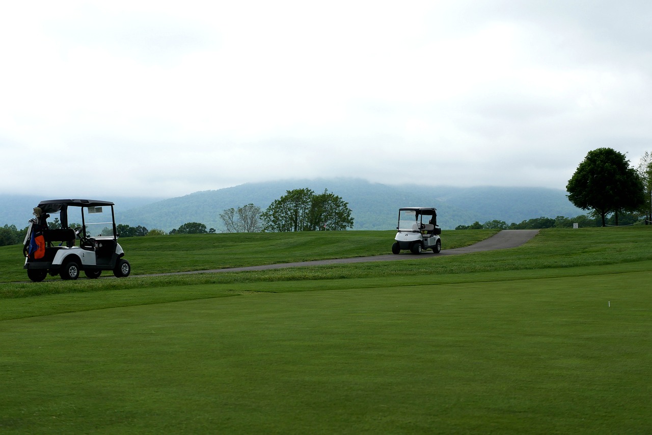 golf, golf cart, golfing-5216747.jpg