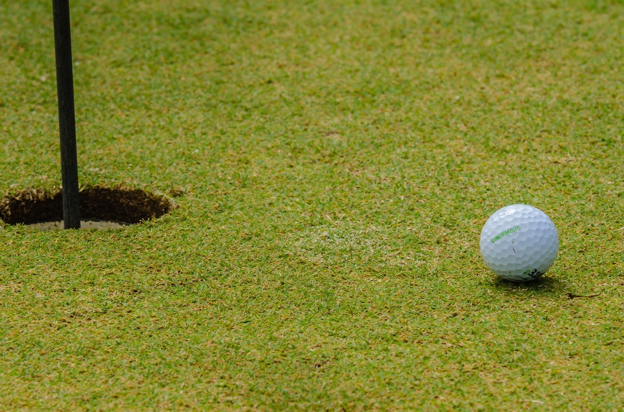 golfing, golf, ball-219993.jpg