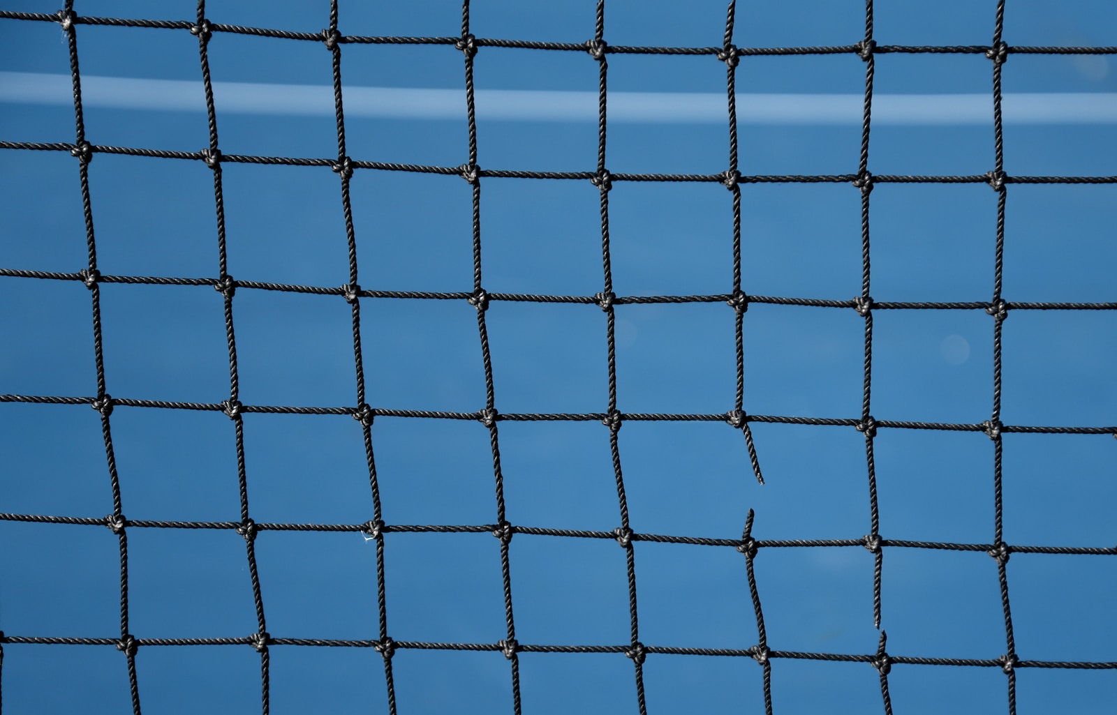 blue net